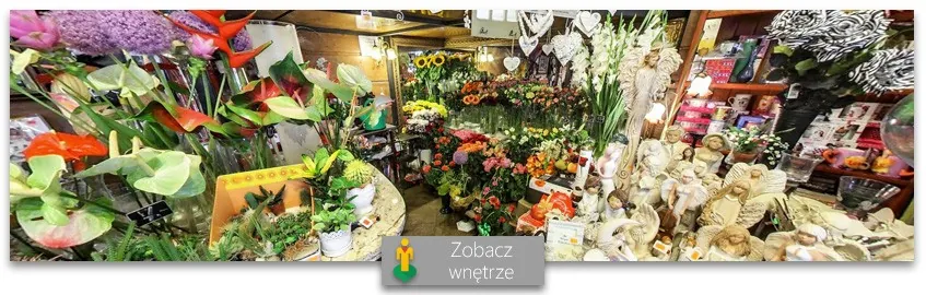 Kwiaciarnia Livia, Głogów - wirtualna wycieczka 360°