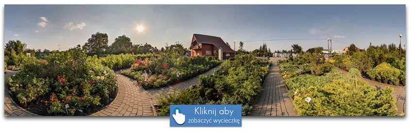 Szkółka drzew i krzewów - Kaliszewscy, Radwanice - wirtualna wycieczka 360°