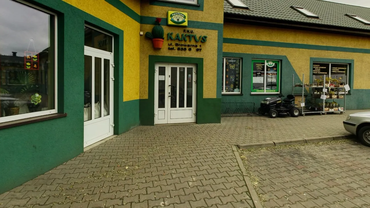 Kaktus,   Centrum ogrodnicze, Głogów - podgląd