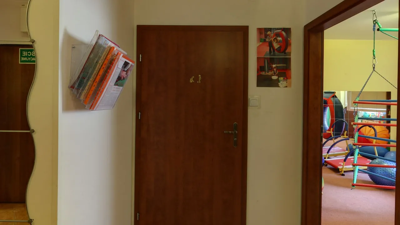 Neurolandia Poradnia Psychologiczno-Pedagogiczna w Piasecznie - podgląd