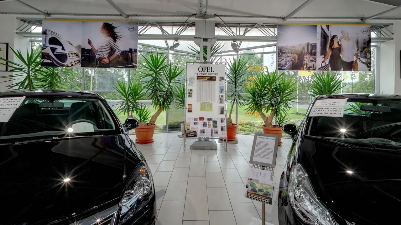 Opel Ligęza, Jelenia Góra - podgląd
